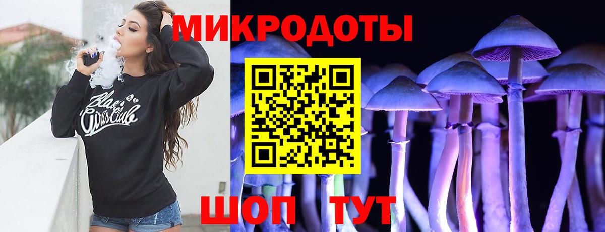 Фролово  Псилоцибиновые грибы Psilocybine cubensis  Вход с VPN 